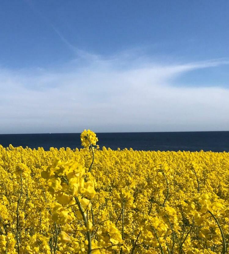 A Pousada Stf Smygehuk Fyr & Logi Smygehamn Exterior foto