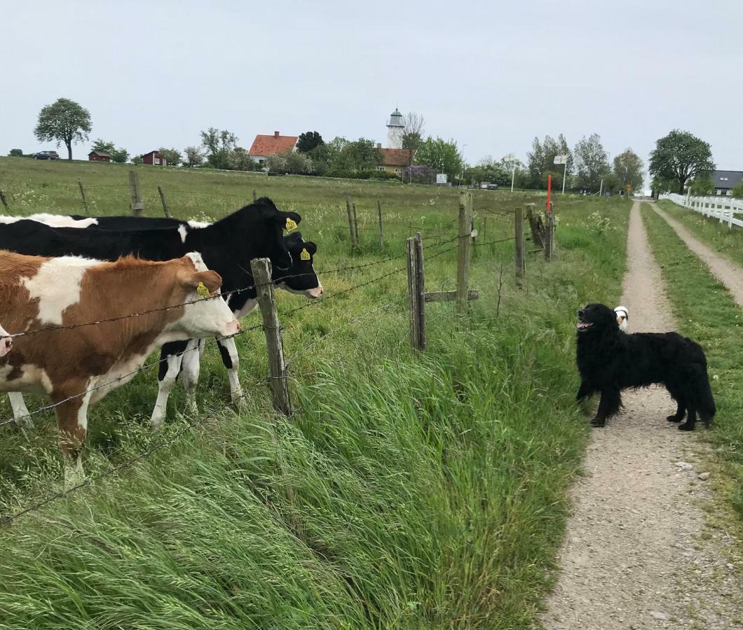 A Pousada Stf Smygehuk Fyr & Logi Smygehamn Exterior foto